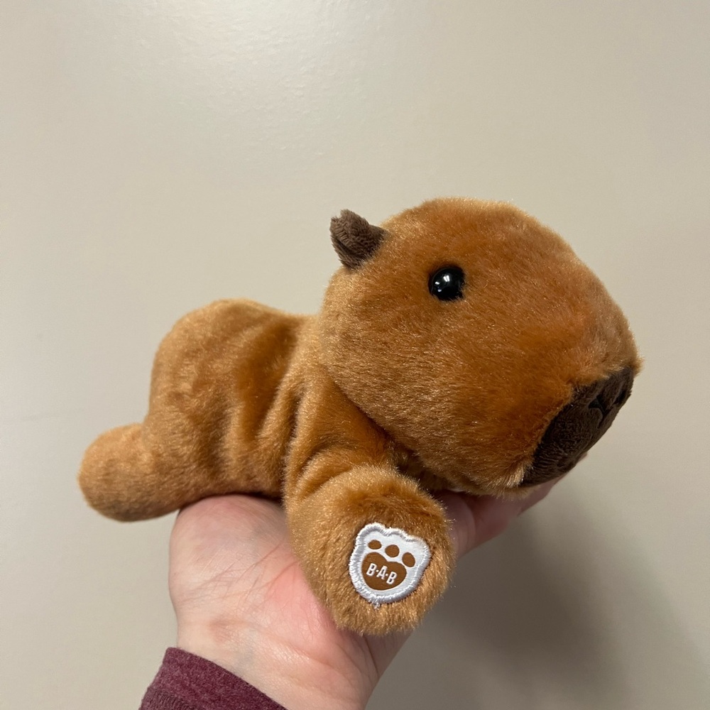 Build-A-Bear Capybara Set 🥰 - Picture 10 of 10